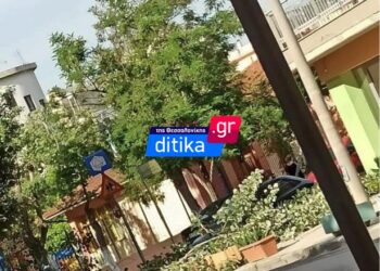 Κορδελιό: ‘Επεσε δέντρο μπροστά σε σχολείο – Από θαύμα γλίτωσαν τα παιδιά