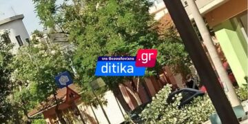 Κορδελιό: ‘Επεσε δέντρο μπροστά σε σχολείο – Από θαύμα γλίτωσαν τα παιδιά