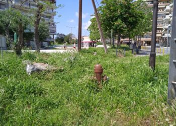 «Ζούγκλα» από χόρτα στον Δήμο Κορδελιού-Ευόσμου