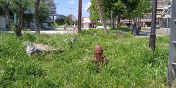 «Ζούγκλα» από χόρτα στον Δήμο Κορδελιού-Ευόσμου