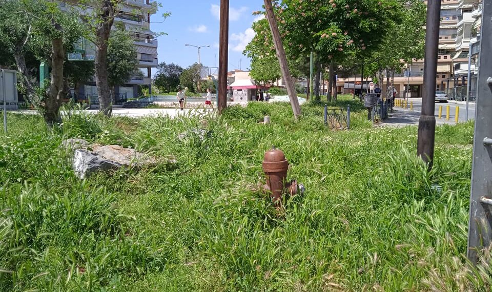 «Ζούγκλα» από χόρτα στον Δήμο Κορδελιού-Ευόσμου