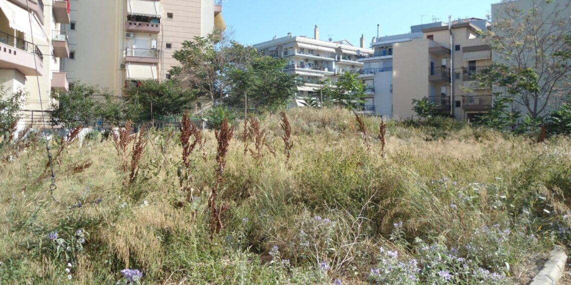 Δ.Κορδελιού-Ευόσμου: Αγανακτισμένοι οι κάτοικοι για τα ακούρευτα χόρτα
