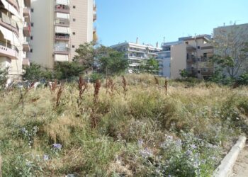 Δ.Κορδελιού-Ευόσμου: Αγανακτισμένοι οι κάτοικοι για τα ακούρευτα χόρτα