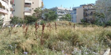 Δ.Κορδελιού-Ευόσμου: Αγανακτισμένοι οι κάτοικοι για τα ακούρευτα χόρτα