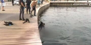 Θεσσαλονίκη: Άνδρας προσπάθησε να ξεφύγει από την αστυνομία και έπεσε στον Θερμαϊκό με τις χειροπέδες