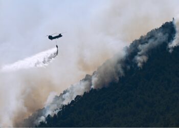Υψηλός κίνδυνος πυρκαγιάς σήμερα σε Θεσσαλονίκη και Χαλκιδική