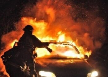 Φωτιά σε φορτηγάκι σε περιοχή του Δ. Δέλτα