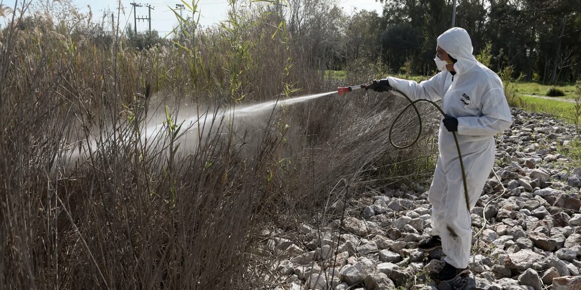 Θεσσαλονίκη: Έκτακτοι ψεκασμοί λόγω μεγάλης αύξησης των κουνουπιών