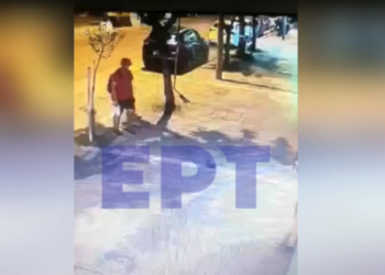 Κτηνωδία στη Θεσσαλονίκη: Πάτησε με το πόδι και σκότωσε γατάκι (Σκληρές Εικόνες)