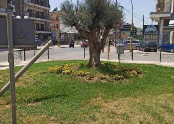 Κάλεσμα Δ. Κορδελιού – Ευόσμου: Υιοθετήστε έναν χώρο πρασίνου