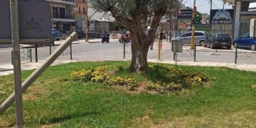 Κάλεσμα Δ. Κορδελιού – Ευόσμου: Υιοθετήστε έναν χώρο πρασίνου