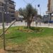 Κάλεσμα Δ. Κορδελιού – Ευόσμου: Υιοθετήστε έναν χώρο πρασίνου