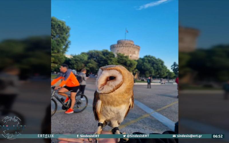 Θεσσαλονίκη: Βγήκε βόλτα στο Λευκό Πύργο με μία… κουκουβάγια στο χέρι