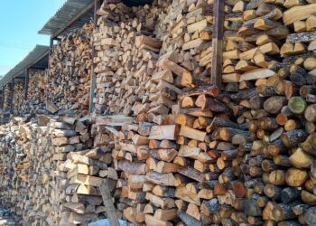 Θεσσαλονίκη: «Μέχρι τα Χριστούγεννα θα έχουμε ξεμείνει από ξύλα»