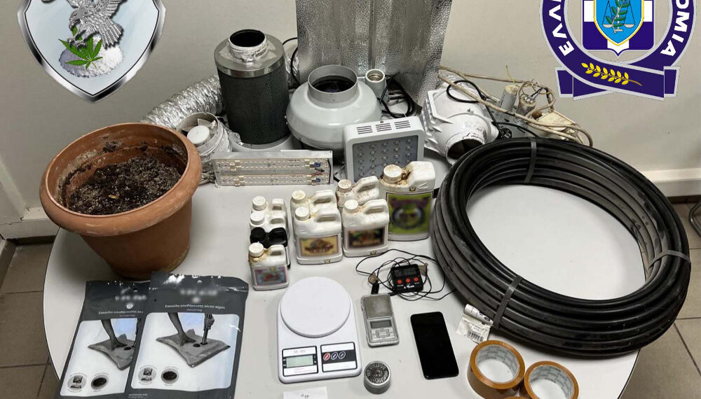 Εύοσμος: Συνελήφθη 53χρονος για καλλιέργεια δενδρυλλίων κάνναβης