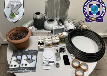 Εύοσμος: Συνελήφθη 53χρονος για καλλιέργεια δενδρυλλίων κάνναβης