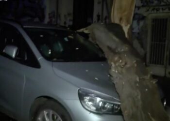 Θεσσαλονίκη: Έπεσαν δέντρα στο κέντρο – «Πλάκωσαν» ΙΧ αυτοκίνητα