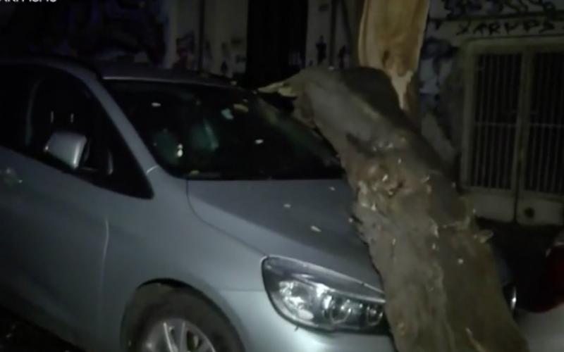 Θεσσαλονίκη: Έπεσαν δέντρα στο κέντρο – «Πλάκωσαν» ΙΧ αυτοκίνητα