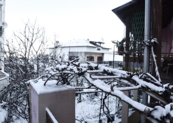 Θεσσαλονίκη: Στα “λευκά” ο Χορτιάτης (Βίντεο)