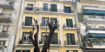 Παρέμβαση εισαγγελέα για τις κοπές δένδρων στη Θεσσαλονίκη