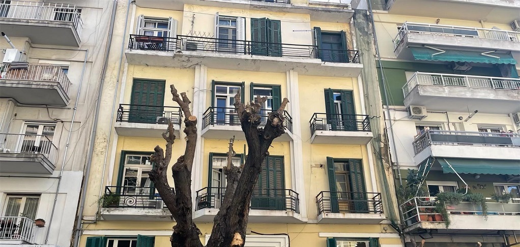 Παρέμβαση εισαγγελέα για τις κοπές δένδρων στη Θεσσαλονίκη