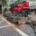 Θεσσαλονίκη: Άρχισαν οι κοπές των άρρωστων δέντρων και στην οδό Τσιμισκή (Εικόνες)