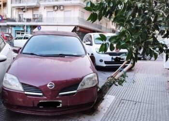 Ασυνείδητος οδηγός πάρκαρε το ΙΧ του πάνω σε κορμό δέντρου – Τον μηνύει ο Δήμος Θεσσαλονίκης