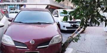 Ασυνείδητος οδηγός πάρκαρε το ΙΧ του πάνω σε κορμό δέντρου – Τον μηνύει ο Δήμος Θεσσαλονίκης