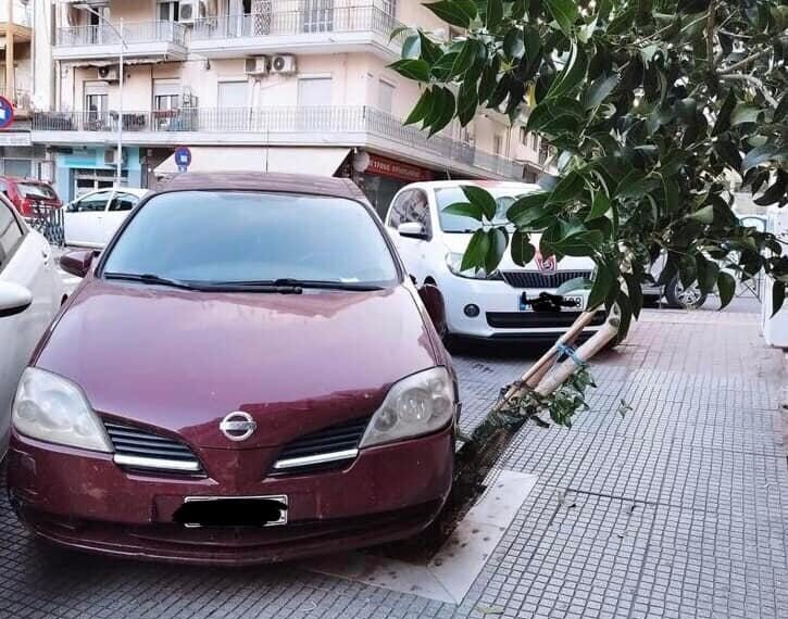 Ασυνείδητος οδηγός πάρκαρε το ΙΧ του πάνω σε κορμό δέντρου – Τον μηνύει ο Δήμος Θεσσαλονίκης