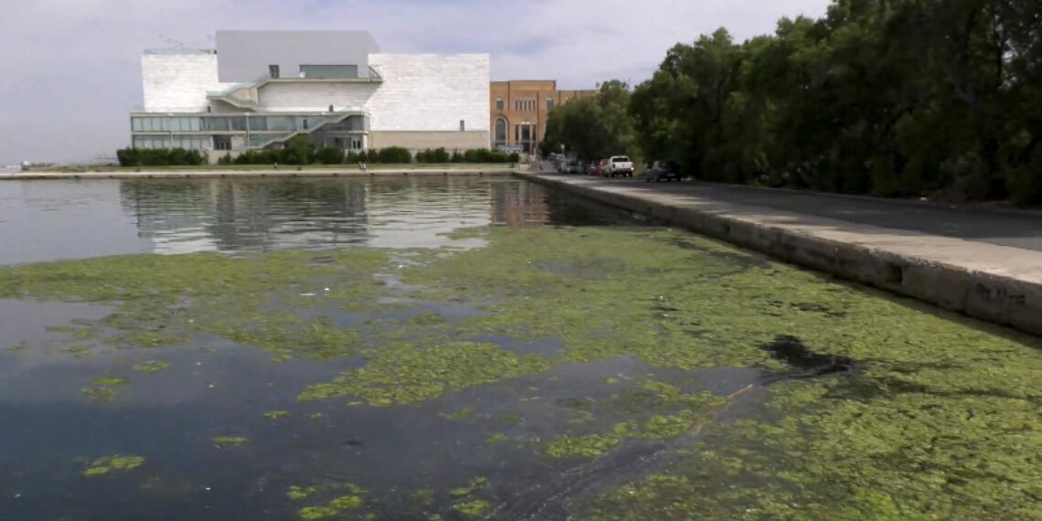 Θεσσαλονίκη: Γιατί έγινε πράσινος ο Θερμαϊκός Κόλπος; – Τι λένε οι επιστήμονες