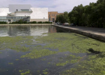 Θεσσαλονίκη: Γιατί έγινε πράσινος ο Θερμαϊκός Κόλπος; – Τι λένε οι επιστήμονες