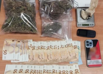 Ο “Vector” ξετρύπωσε” κοκαΐνη και κάνναβη μέσα σε ντουλάπα – Υπήρχε και “θερμοκήπιο” με χασισόδεντρα στο σπίτι (video)