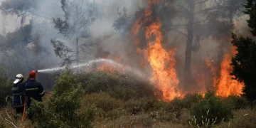 Φωτιά στα Δερβενοχώρια: Ανεξέλεγκτο το μέτωπο κινείται προς τη Μαγούλα – Ολονύχτια μάχη με τις φλόγες