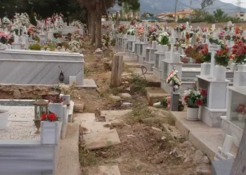 Θεσσαλονίκη: Τους τσάκωσαν με 1.310 πακέτα λαθραία τσιγάρα – Τα παρέλαβε από courier, τα έκρυβε στο μαγαζί της (φωτο)
