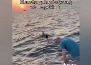 Θεσσαλονίκη: Παρέα Σουηδών βούτηξε για μπάνιο στα νερά του Θερμαϊκού (VIDEO)