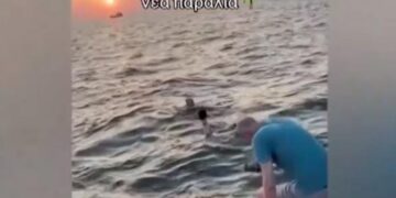 Θεσσαλονίκη: Παρέα Σουηδών βούτηξε για μπάνιο στα νερά του Θερμαϊκού (VIDEO)