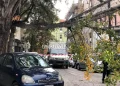 Θεσσαλονίκη: Πτώσεις δέντρων λόγω των ισχυρών ανέμων – Φθορές σε οχήματα (φωτο)