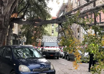 Θεσσαλονίκη: Πτώσεις δέντρων λόγω των ισχυρών ανέμων – Φθορές σε οχήματα (φωτο)