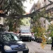 Θεσσαλονίκη: Πτώσεις δέντρων λόγω των ισχυρών ανέμων – Φθορές σε οχήματα (φωτο)