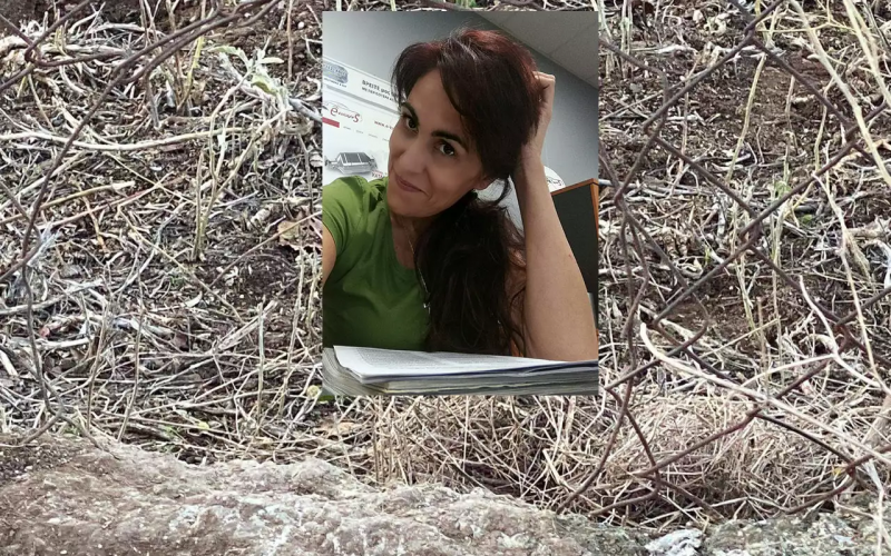 Θεσσαλονίκη: Στον ανακριτή ο ιδιοκτήτης των σκύλων που κατασπάραξαν την 50χρονη