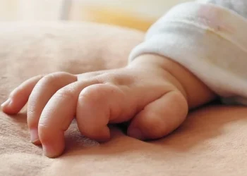 Θεσσαλονίκη: Σκύλος επιτέθηκε σε βρέφος και το τραυμάτισε στο πρόσωπο