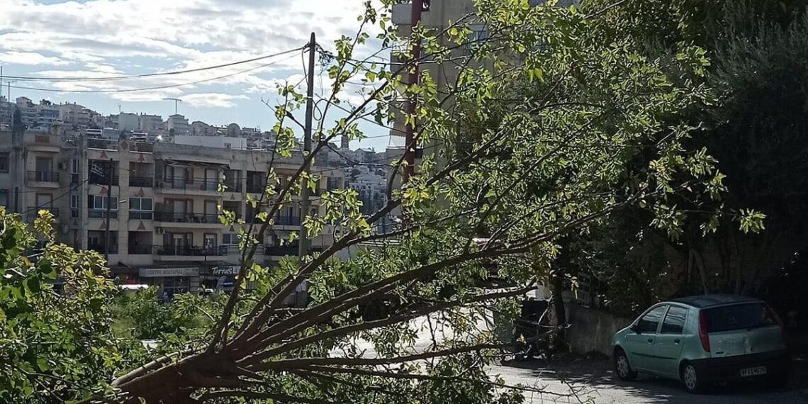 Κορδελιό: Ζητά αποζημίωση από τον δήμο για ζημιές που προκάλεσε πτώση δέντρου στο όχημα του