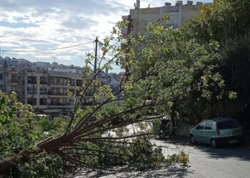 Κορδελιό: Ζητά αποζημίωση από τον δήμο για ζημιές που προκάλεσε πτώση δέντρου στο όχημα του