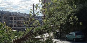 Κορδελιό: Ζητά αποζημίωση από τον δήμο για ζημιές που προκάλεσε πτώση δέντρου στο όχημα του
