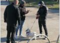 ‘Ελεγχοι και πρόστιμα από την ΕΛΑΣ σε ιδιοκτήτες ζώων στη Δυτ.Θεσσαλονίκη