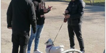 ‘Ελεγχοι και πρόστιμα από την ΕΛΑΣ σε ιδιοκτήτες ζώων στη Δυτ.Θεσσαλονίκη