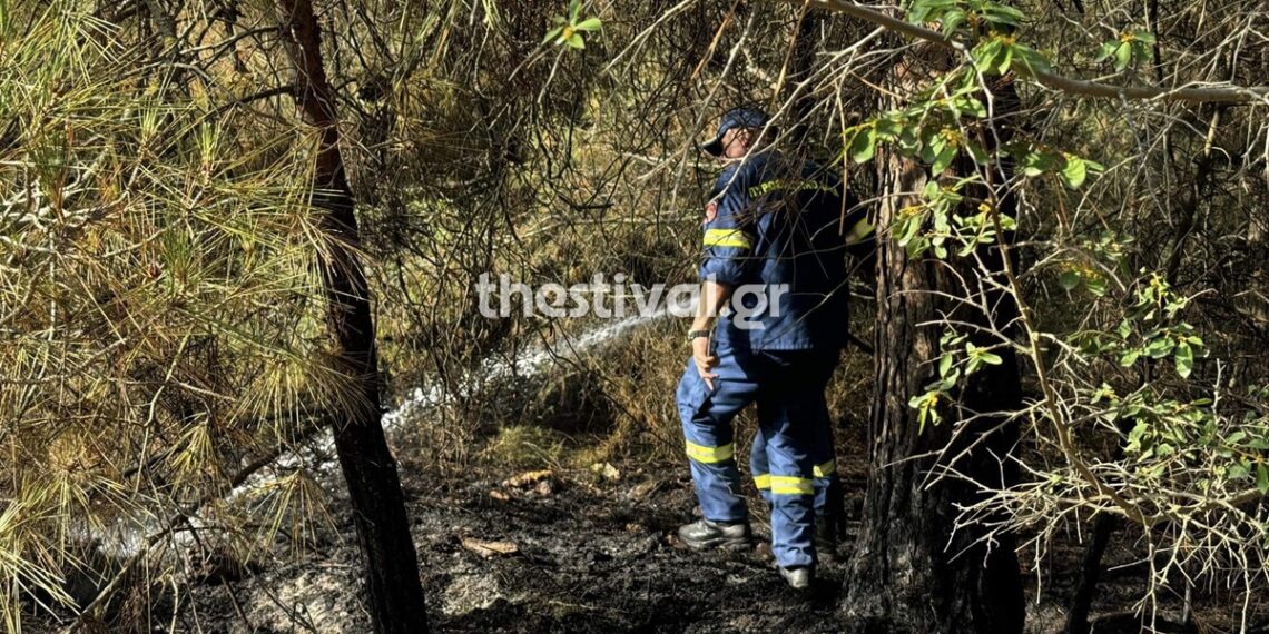 Θεσσαλονίκη: Συνελήφθη ο νεαρός για τη φωτιά στο Σέιχ Σου