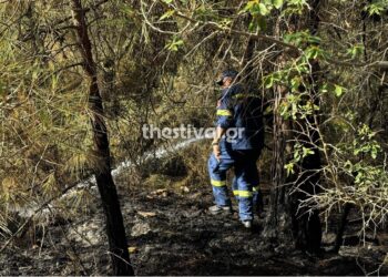 Θεσσαλονίκη: Συνελήφθη ο νεαρός για τη φωτιά στο Σέιχ Σου