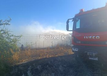 Θεσσαλονίκη: Κάηκε ποιμνιοστάσιο με ζώα από τη μεγάλη φωτιά στον Λαγκαδά (φωτο)