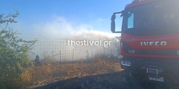 Θεσσαλονίκη: Κάηκε ποιμνιοστάσιο με ζώα από τη μεγάλη φωτιά στον Λαγκαδά (φωτο)